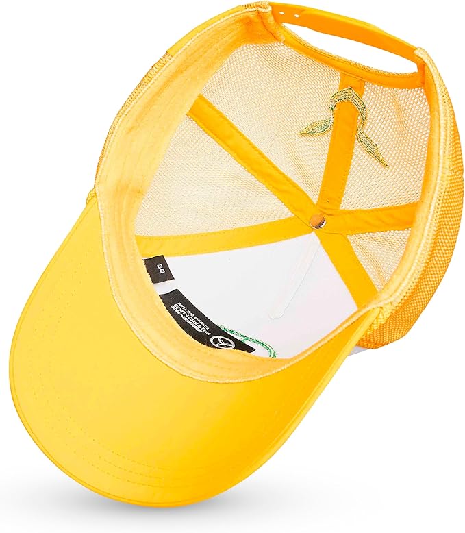 Mercedes AMG Petronas F1 Team Lewis Hamilton Silverstone Special Edition Baseball Cap 2024